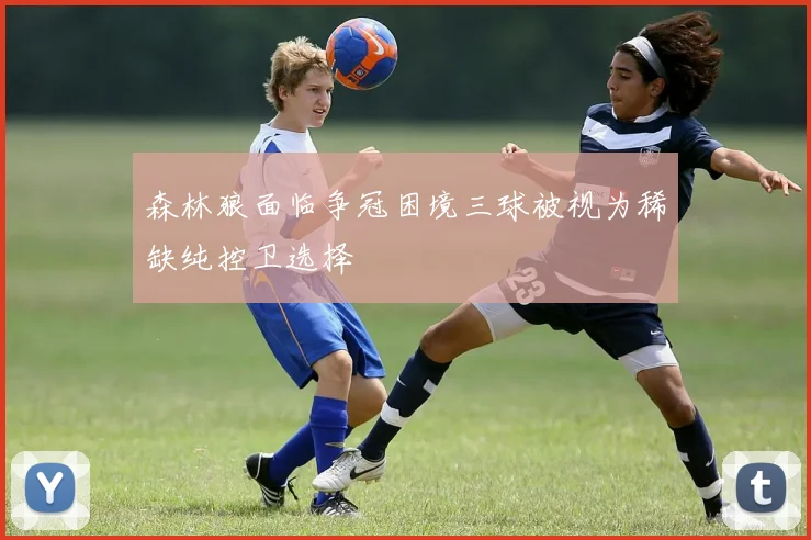 森林狼面临争冠困境三球被视为稀缺纯控卫选择
